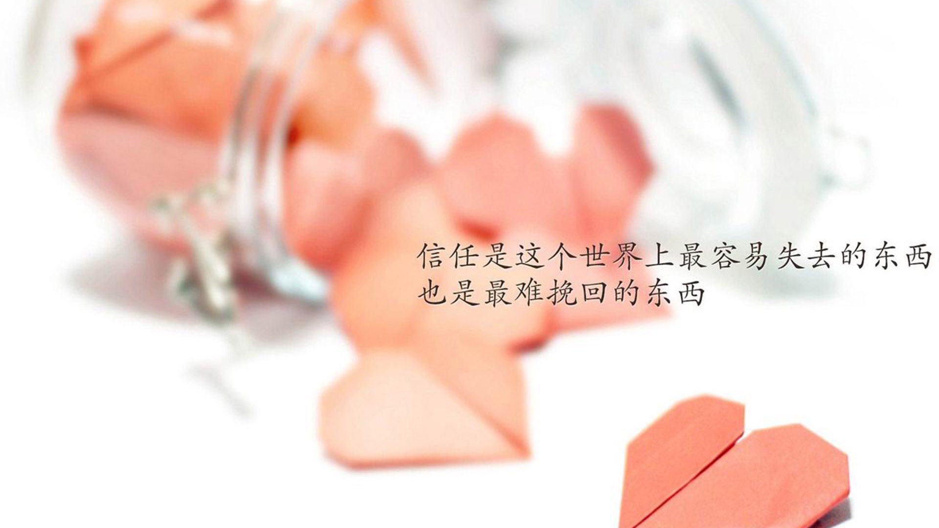 开云官方-难忘瞬间：本赛季十大精彩片段回顾，赛场精彩瞬间