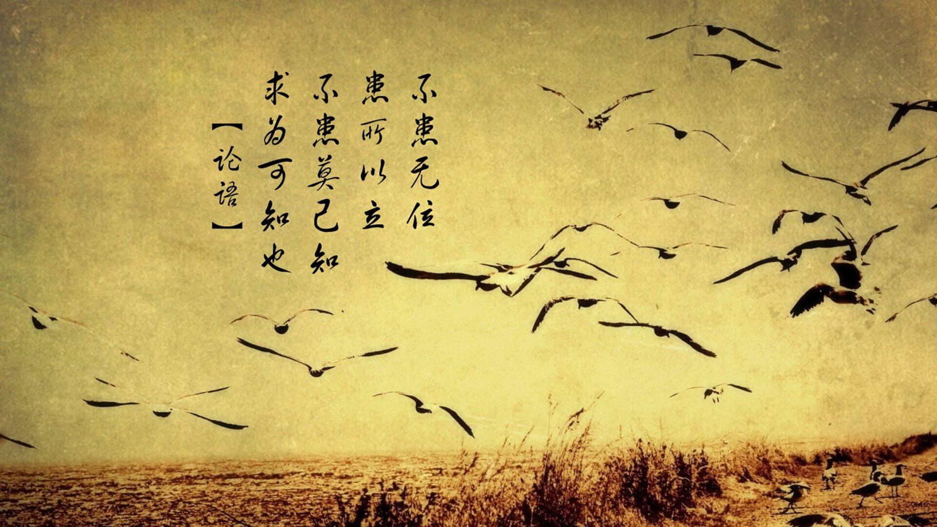 kaiyun开云·官方网站-气势如虹，女足比赛选手状态回勇，女足回家了
