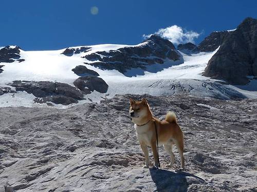 英格兰队取得对乌克兰的胜利,晋级欧国亚军赛,英格兰对乌克兰比赛地点