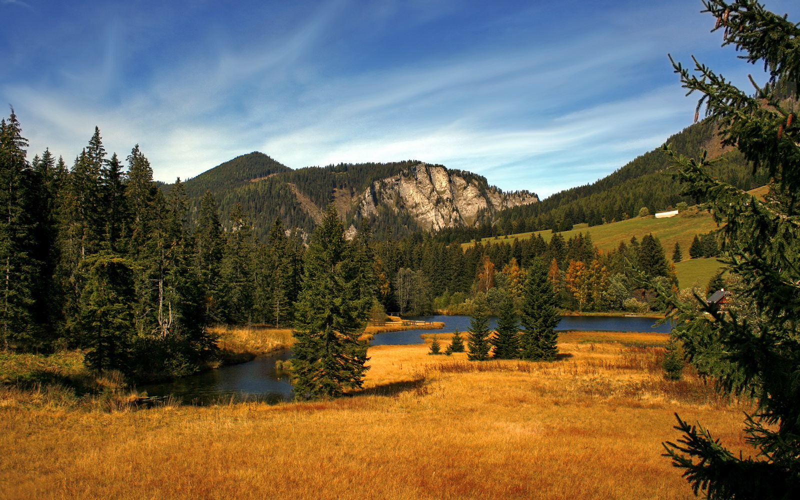 职业联赛差异化打法为何缺乏标杆风格,职业联赛差异化打法为何缺乏标杆风格的原因