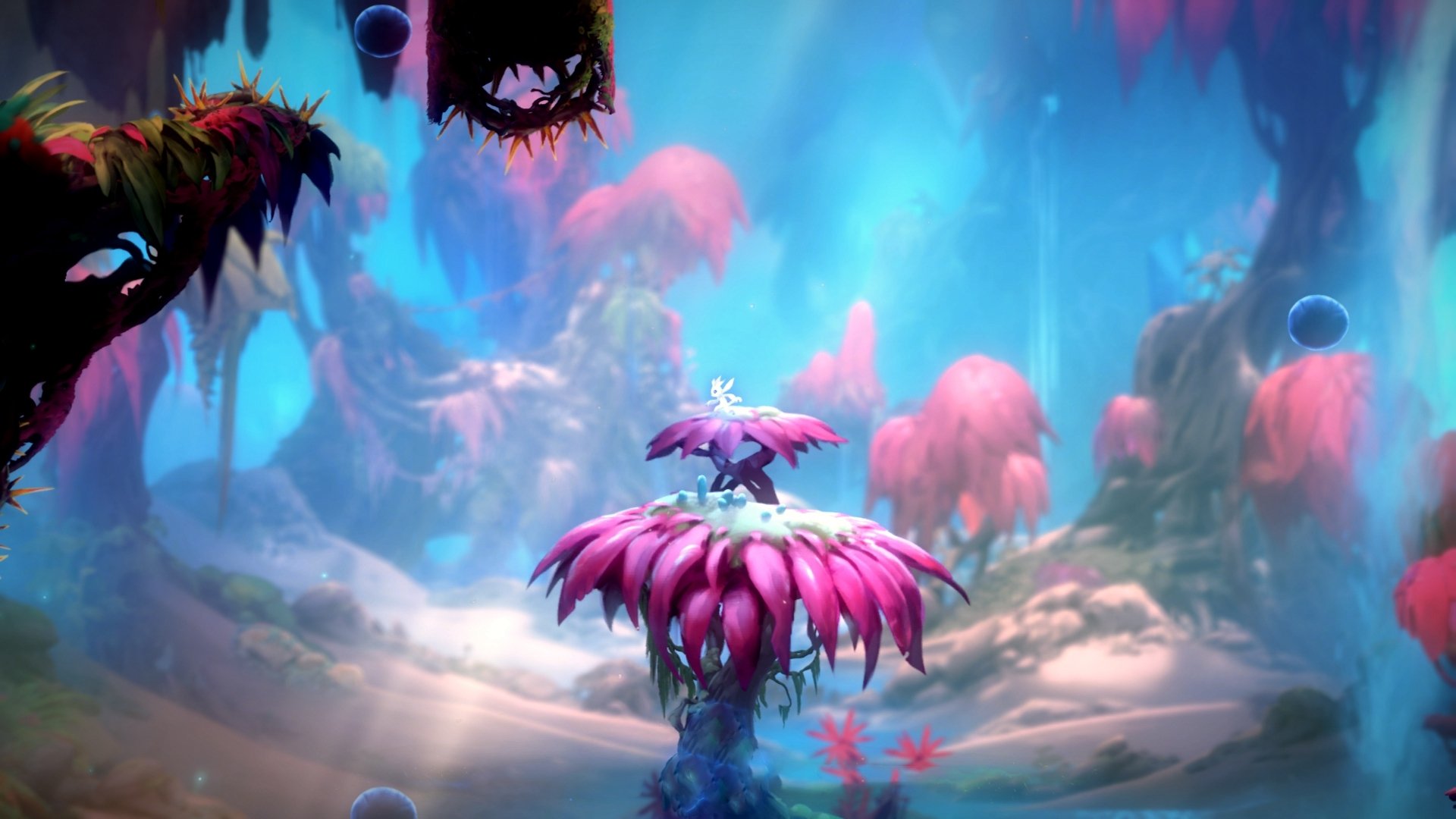 开云网站-世界杯荣耀瞬间：感动，成就永恒回忆，世界杯获奖名单