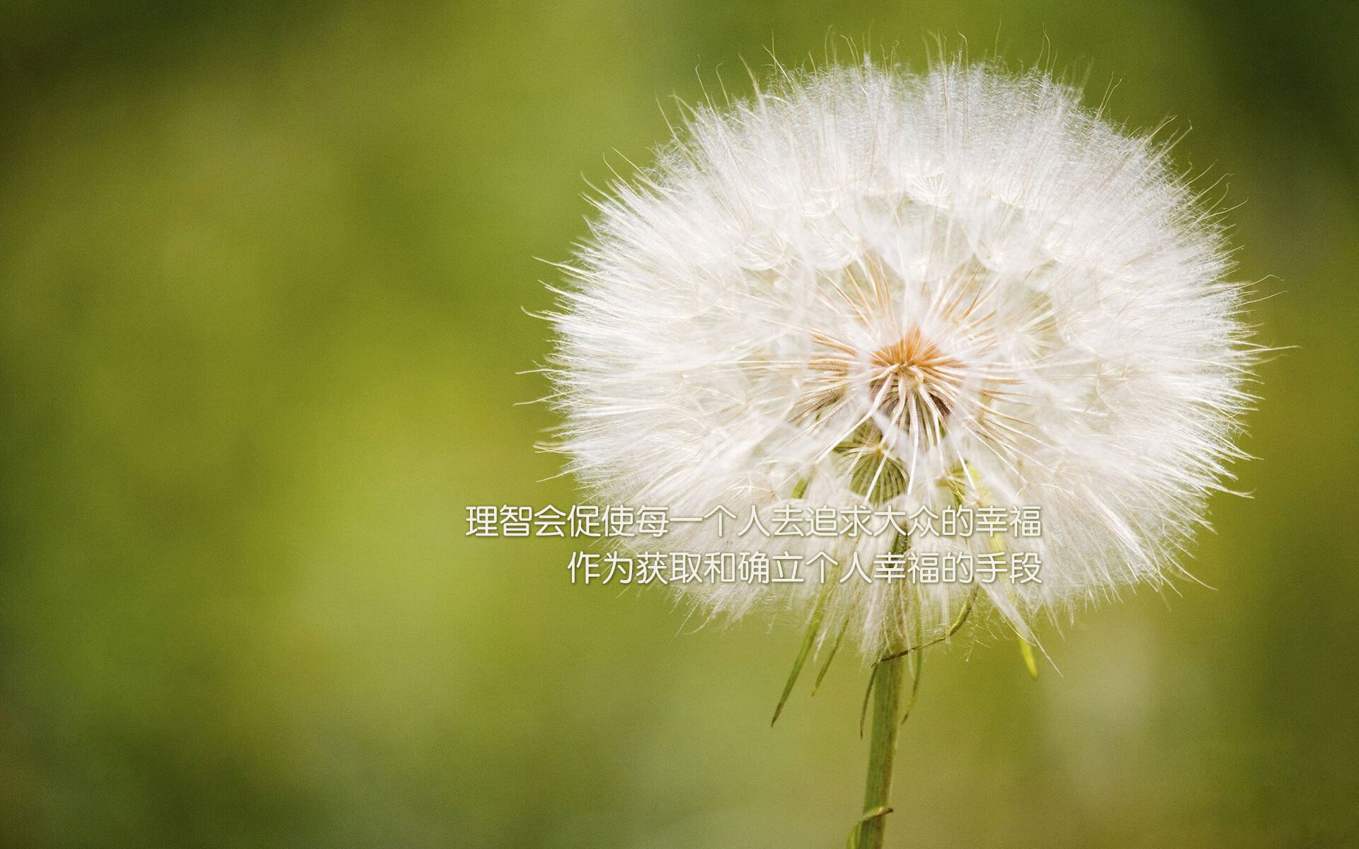 中国男子4×200米自由泳接力决赛表现超预期，4×100米自由泳接力赛