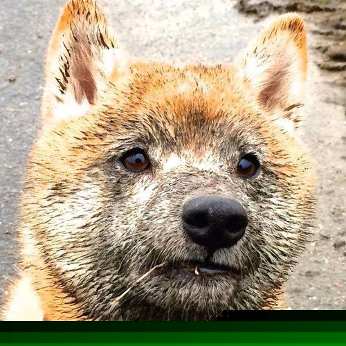 詹姆斯赛前与队友击掌传递信心,詹姆斯开场和队友击掌